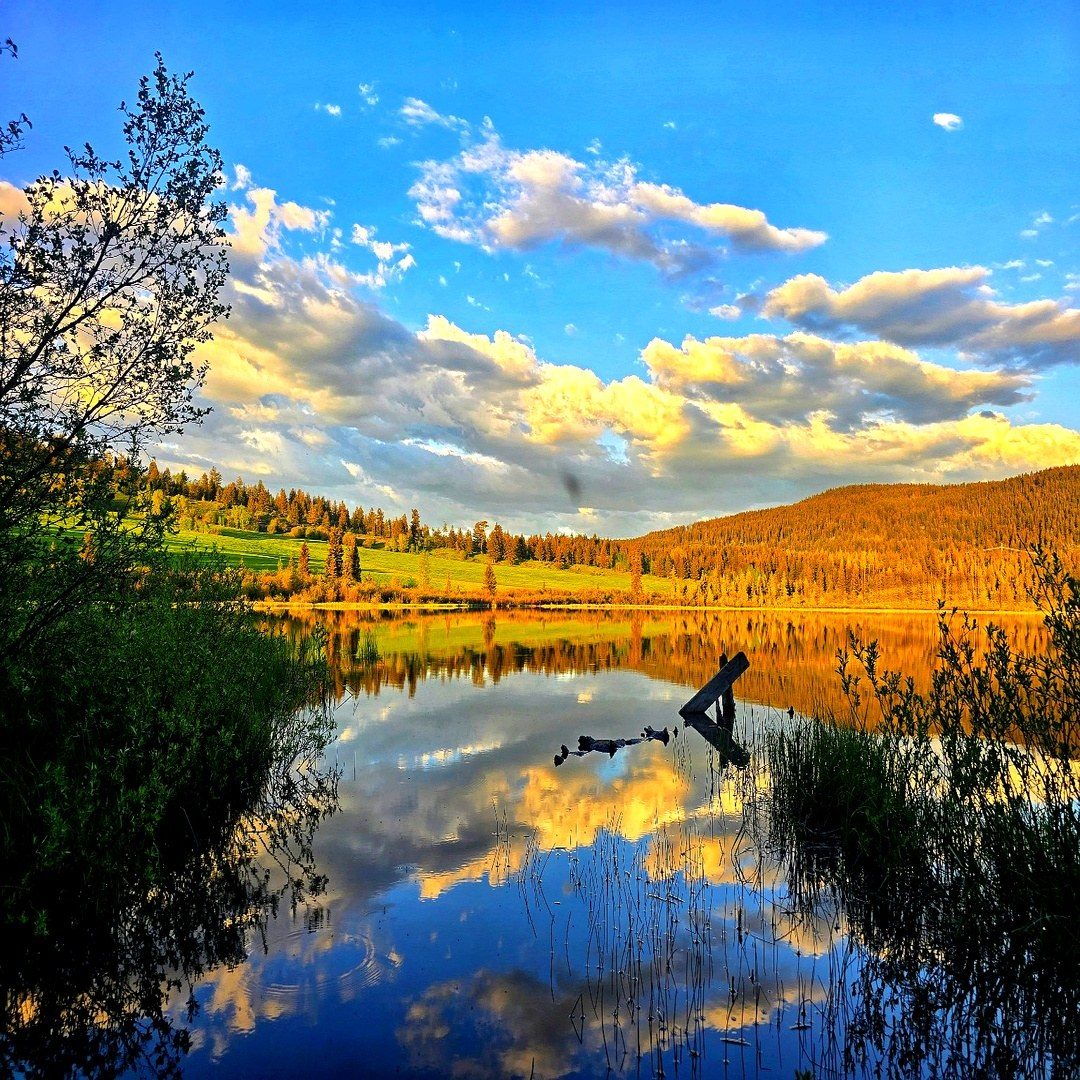 Stillwater scene at camp