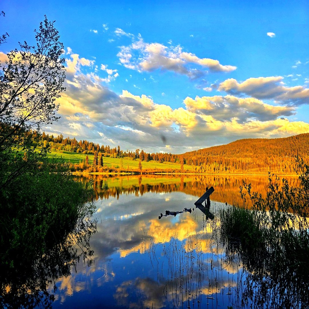 Camp setup and fire ring in the trees beside the lake